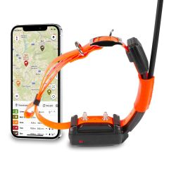 Collar SHORT Adicional GPS X30-T de Dogtrace. Sumergible, con módulo educativo y ajustable para cuellos desde 26 cm. Libertad para perros pequeños.

